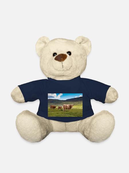 Schottische Hochlandrinder - Teddy - French Navy