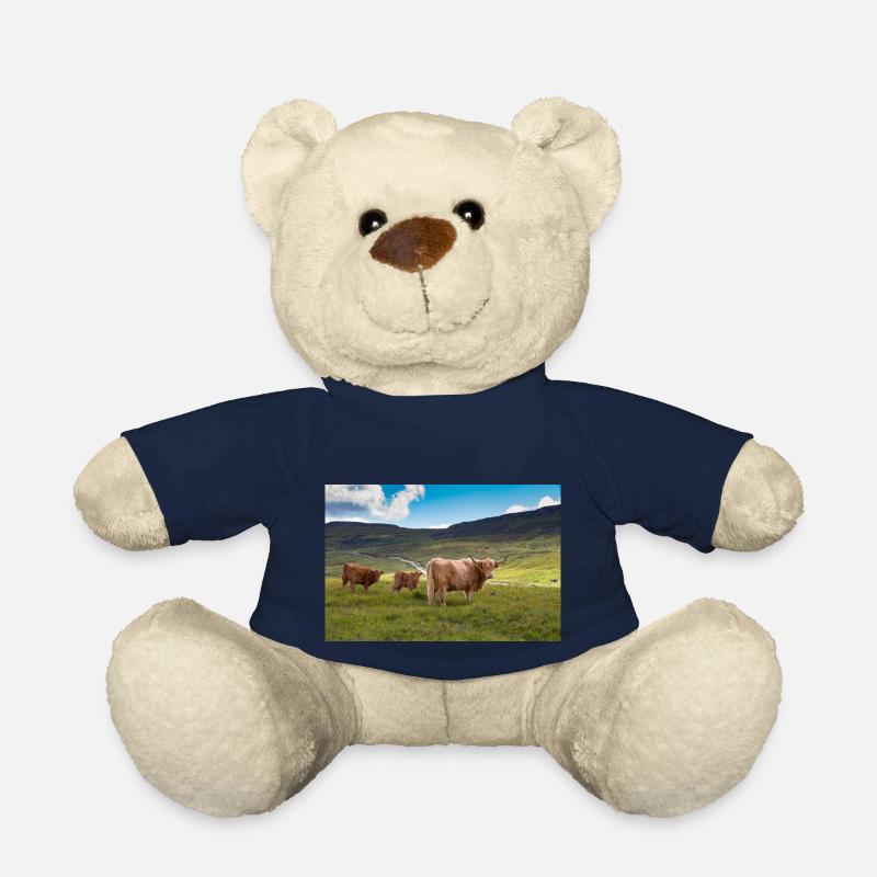 Schottische Hochlandrinder - Teddy - French Navy