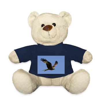 Rotmilan im Flug - Teddy - French Navy - Vorne