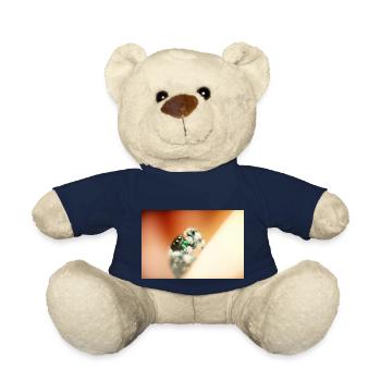 Springspinne, Phidippus regius,jumping spider - Teddy - French Navy - Vorne