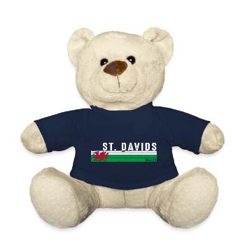 St. Davids Wales Gelassenheit an der Küste - Teddy - French Navy - Vorne