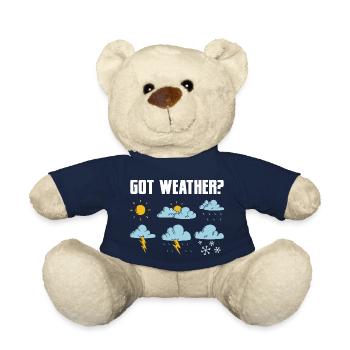 Got Weather? Meteorologist Meteorology - Teddy Bear - french navy - Front