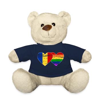 Rumänien Regenbogen Flagge used - Teddy - French Navy - Vorne