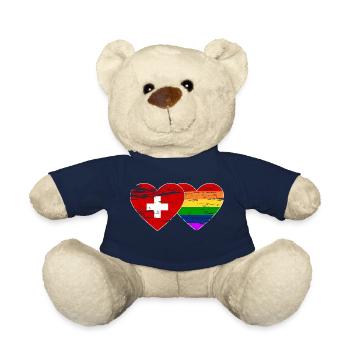 Schweiz Regenbogen Flagge used - Teddy - French Navy - Vorne