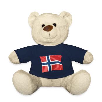 Flagge von Norwegen - Teddy - French Navy - Vorne