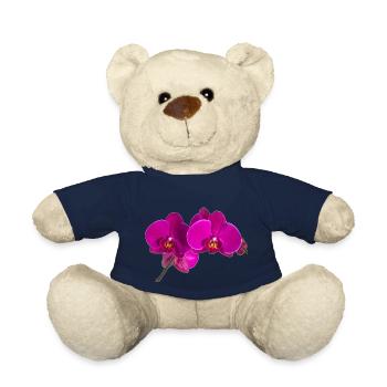 Phalaenopsis - Teddy - French Navy - Vorne
