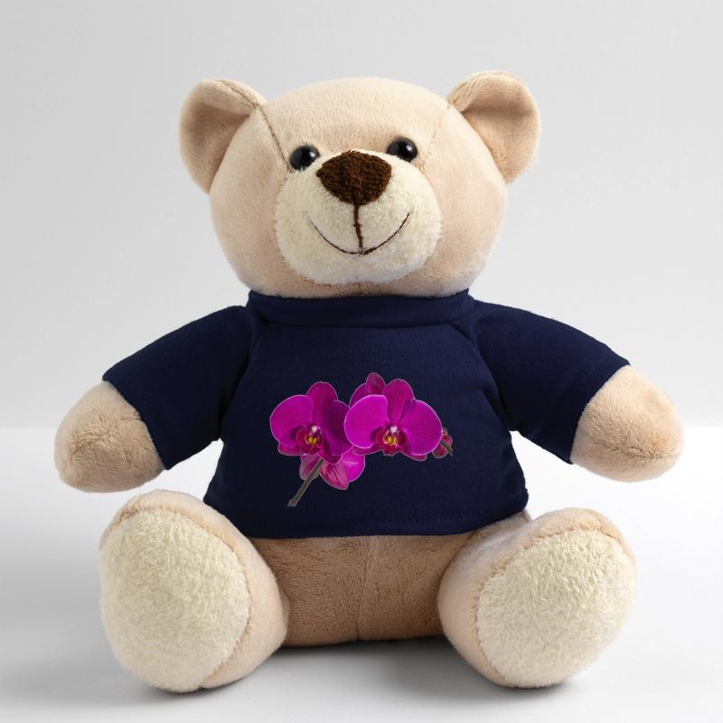 Phalaenopsis Teddy