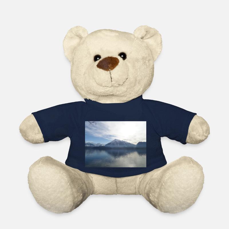 Thunersee mit Niesen - Teddy - French Navy