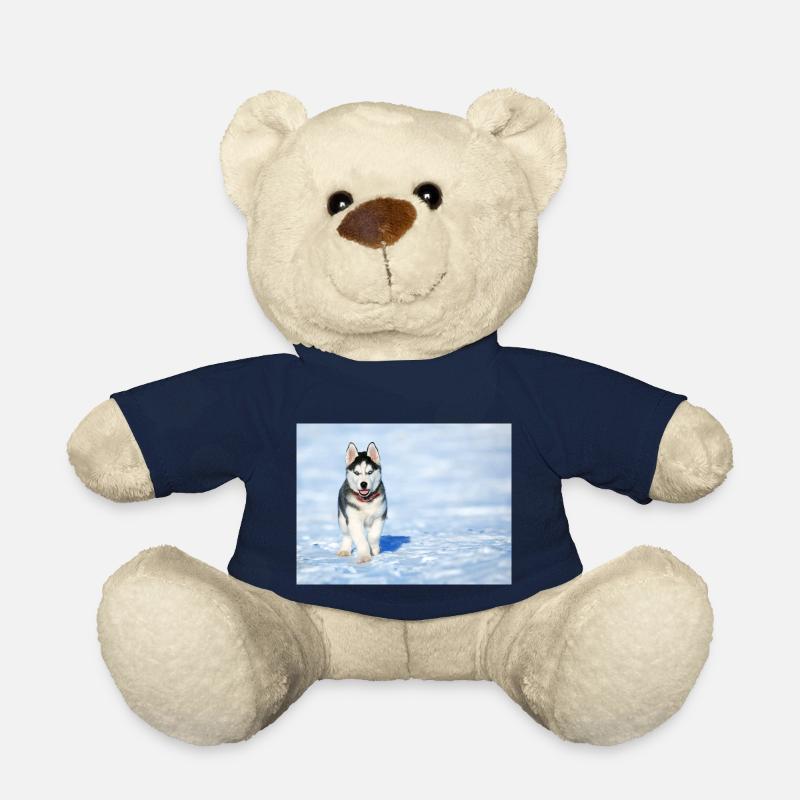 Husky-Welpe im Schnee - Teddy - French Navy
