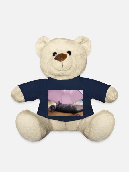 katzen, kätzchen, - Teddy - French Navy
