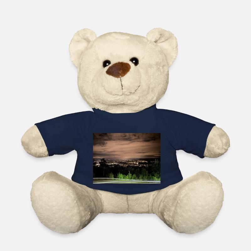 Oslo bei Nacht - Teddy - French Navy