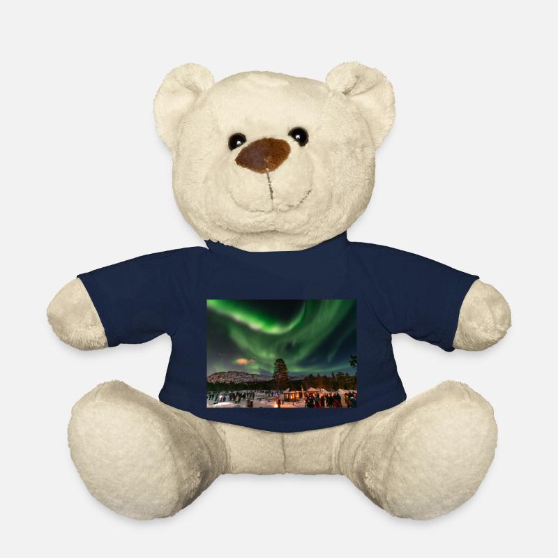 Norwegen Polarlicht - Teddy - French Navy