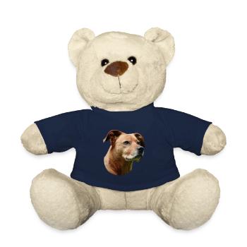 Staffordshire Bullterrier - Teddy - French Navy - Vorne