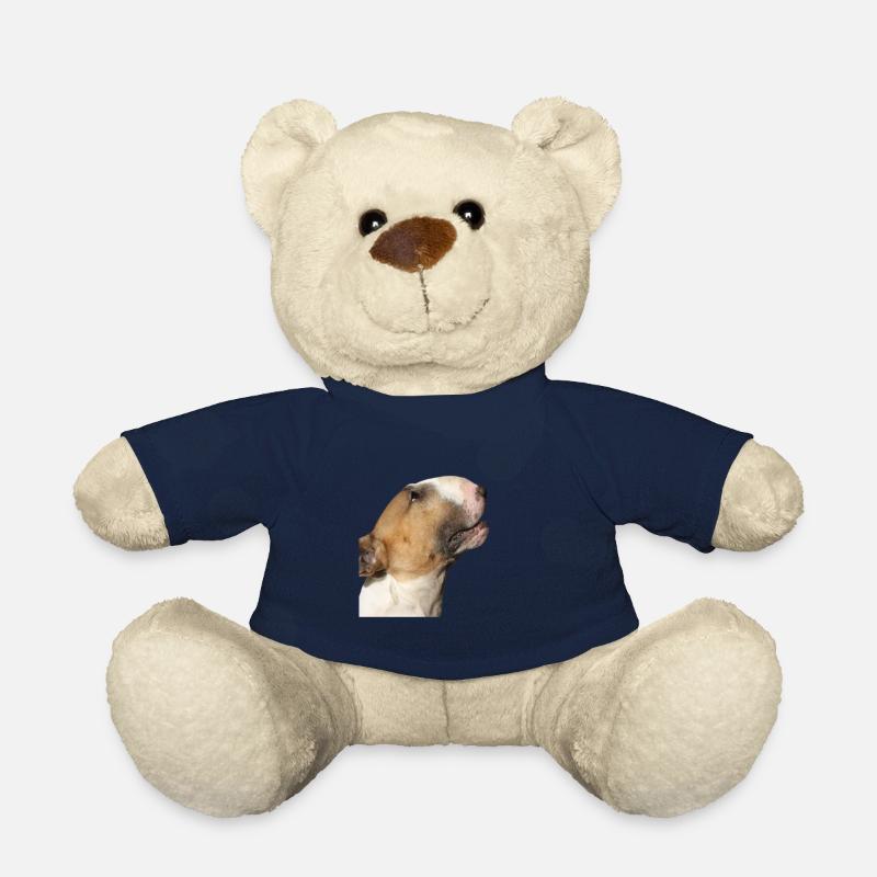 bull-terrier - Nounours - bleu marine