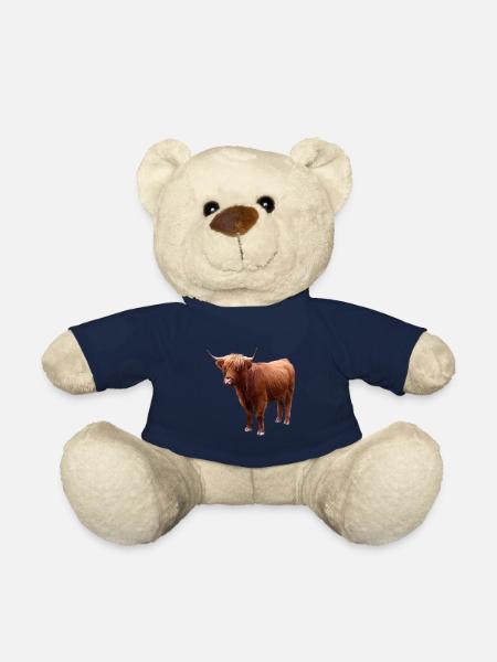 Schottisches Hochlandrind - Teddy - French Navy
