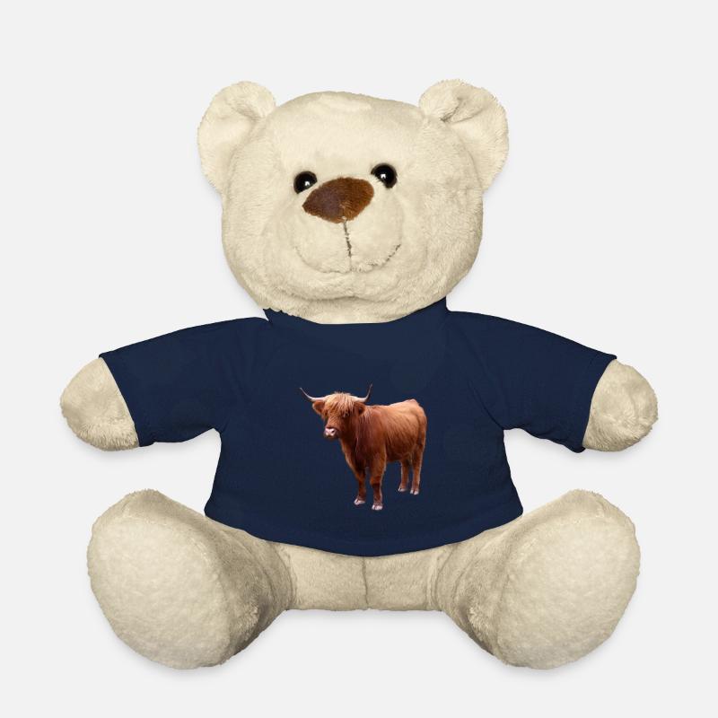 Schottisches Hochlandrind - Teddy - French Navy