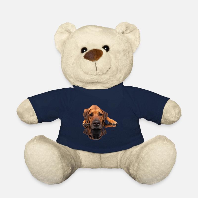 Rhodesian Ridgeback Foto - Spiegelbild - Teddy - French Navy