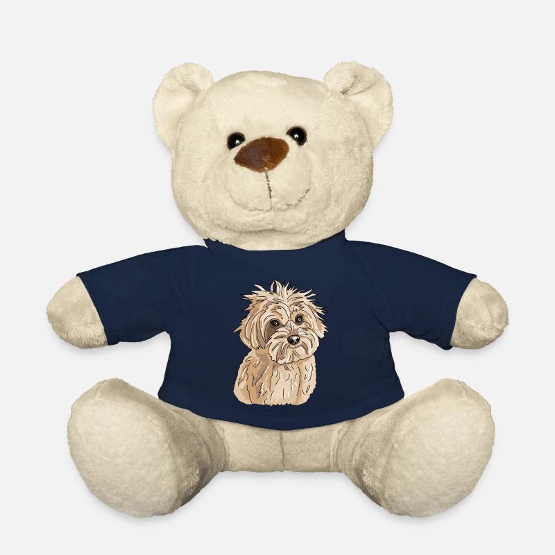 Havaneser - Teddy - French Navy