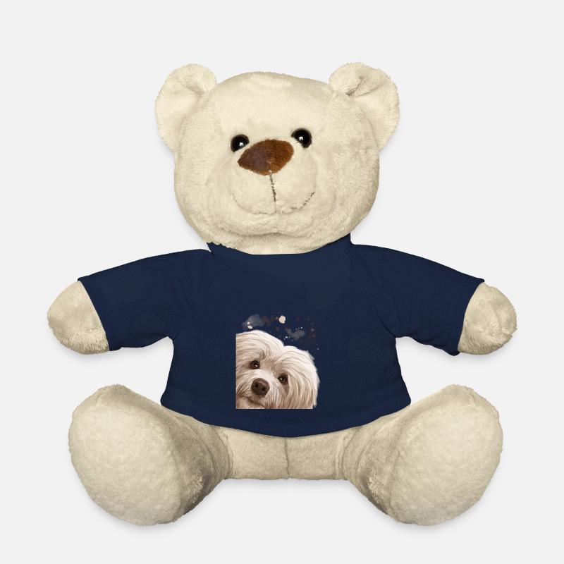 Chien de Havane curieux - Nounours - bleu marine