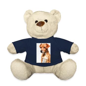 Hunde Portrait Weiß - Teddy - French Navy - Vorne