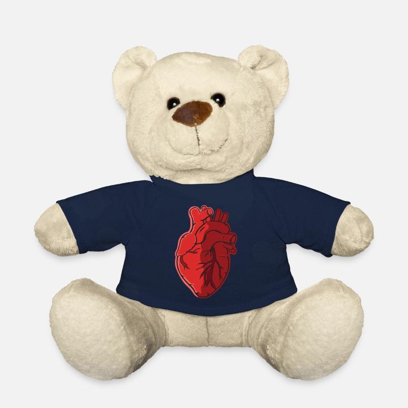 Herz Anatomie - Teddy - French Navy