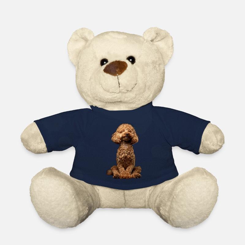 Pudel - Teddy - French Navy
