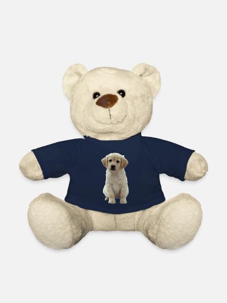 Golden Retriever Welpe Niki - Teddy - French Navy
