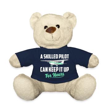 A Skilled Pilot Can Keep It Up For Hours Aviation - Teddy - French Navy - Vorne