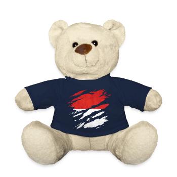 Indonesien - Nationalfahne, Kratzer, Risse - Teddy - French Navy - Vorne