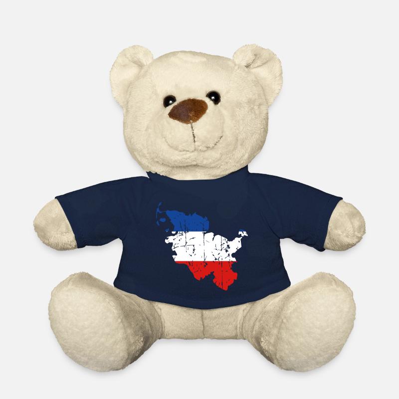 Schleswig-Holstein - Teddy - French Navy