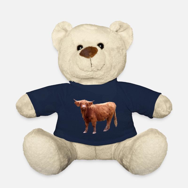 Schottisches Hochlandrind - Teddy - French Navy