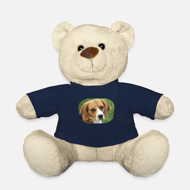 beagle - Teddy - French Navy