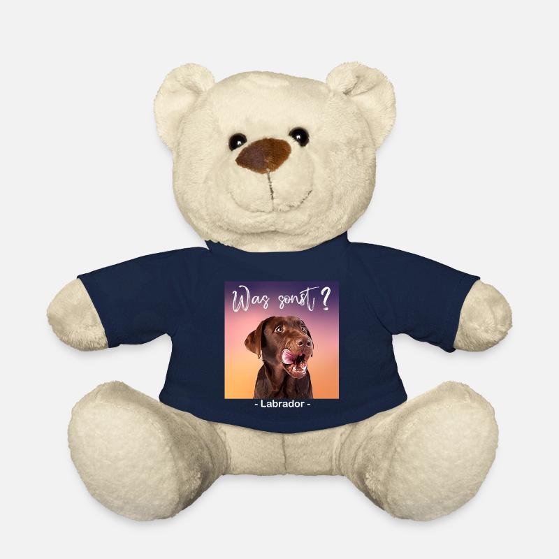 Was sonst brauner Labrador - Teddy - French Navy