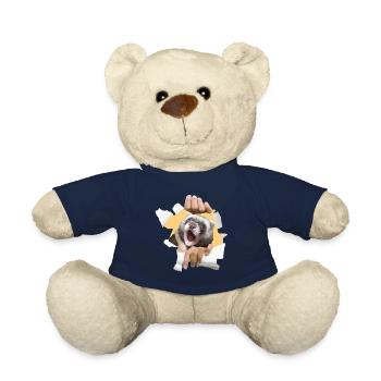 Ein Frettchen zu Hause - Teddy - French Navy - Vorne