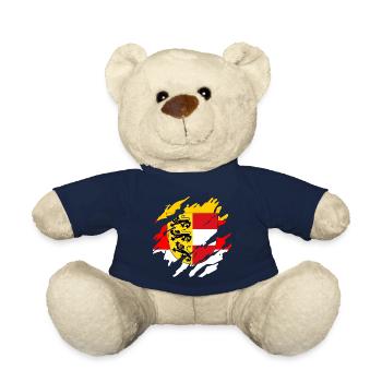 Real Klagenfurt & Carinthia Patriots & Holidaymakers - Teddy Bear - french navy - Front