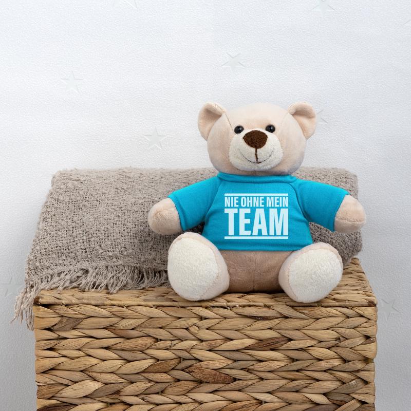 team nie Teddy