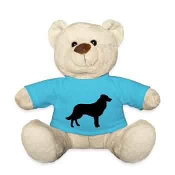 Border Collie, Hund, Agility - Teddy - Atollblau - Vorne
