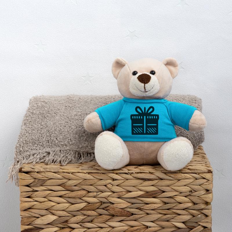 Gift Package Teddy Bear