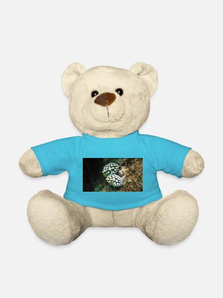 NACKTSCHNECKE - Teddy - Atollblau
