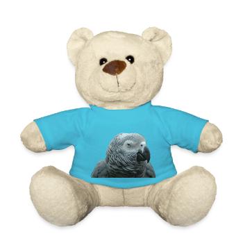 Graupapagei Porträt - Teddy - Atollblau - Vorne