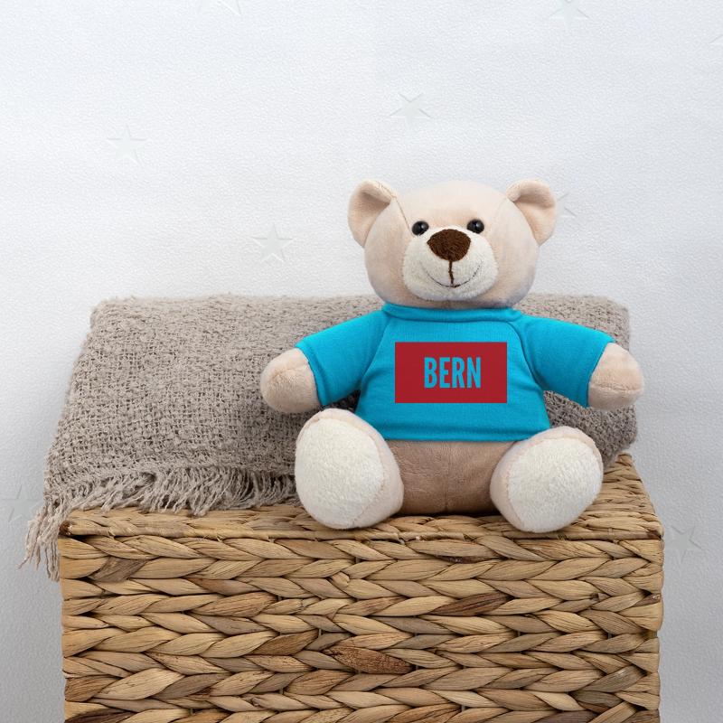 Bern Teddy