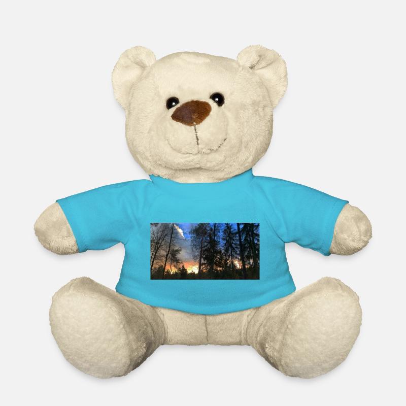 kunst wetter - Teddy - Atollblau