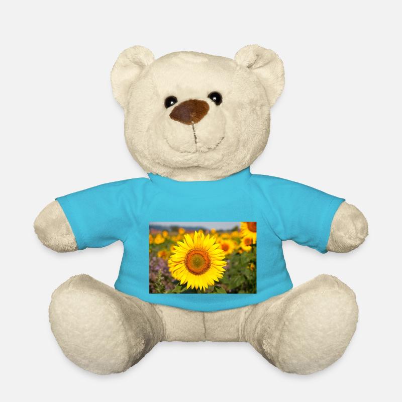 Sonnenblumen Blütenkopf ragt aus einem Feld hervor - Teddy - Atollblau