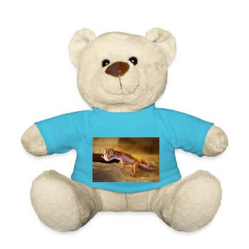Gecko, Leopardgecko, Reptil - Teddy - Atollblau - Vorne