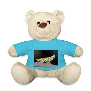 Creobroter cf nebulosus - Flower mantis - Teddy - Atollblau - Vorne