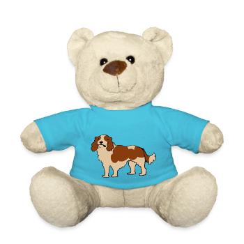 Cavalier King Charles Spaniel - Teddy - Atollblau - Vorne