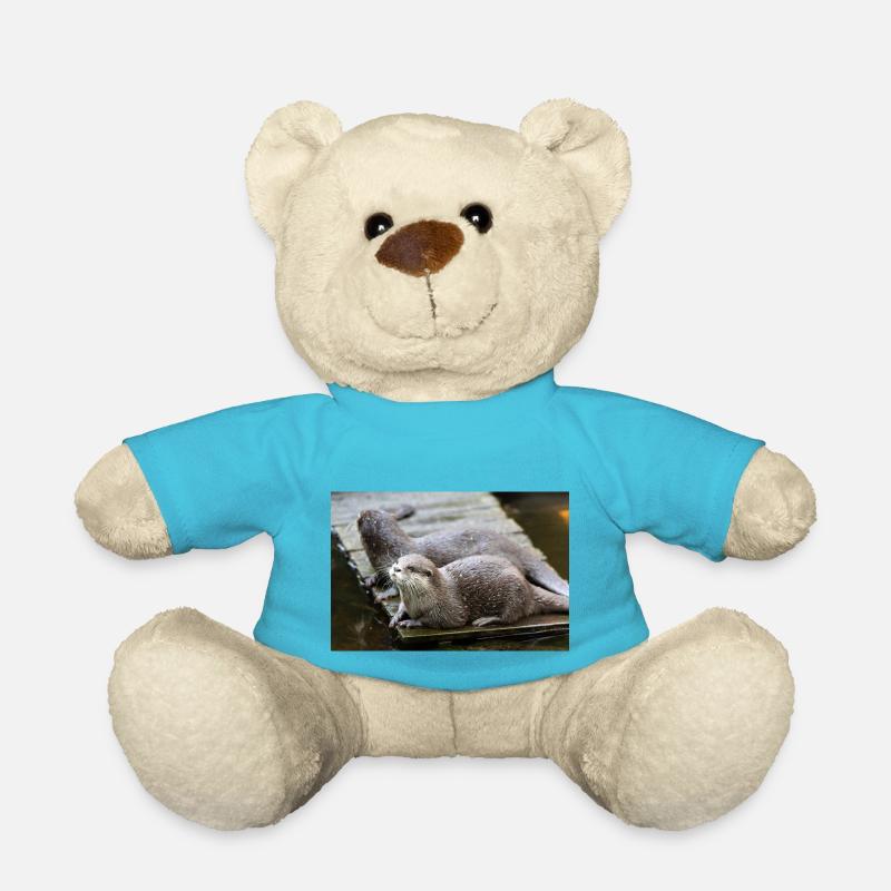 Asiatischer Kleinkrallenotter Zwergotter - Teddy - Atollblau