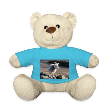 Chèvre naine ou chèvre miniature Zwergziege - Nounours - bleu outremer - Devant
