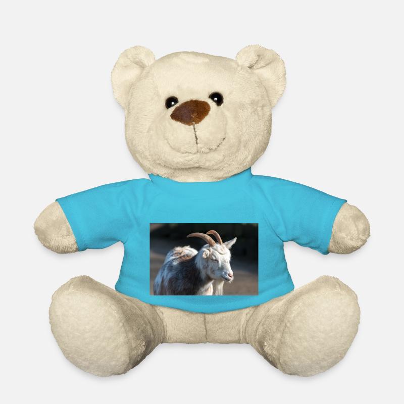 Dwarf Goat or Miniature Goat Zwergziege - Teddy Bear - atoll blue