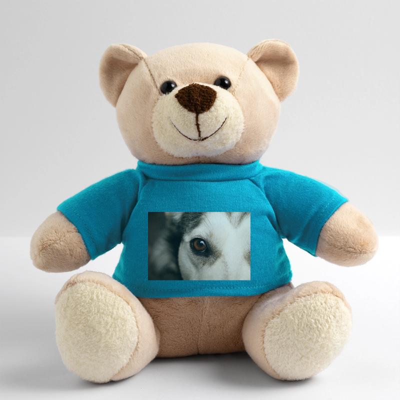 Œil de Husky Nounours